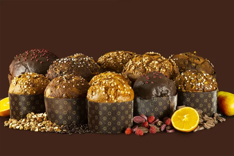 xocosave-branding-diseño-web