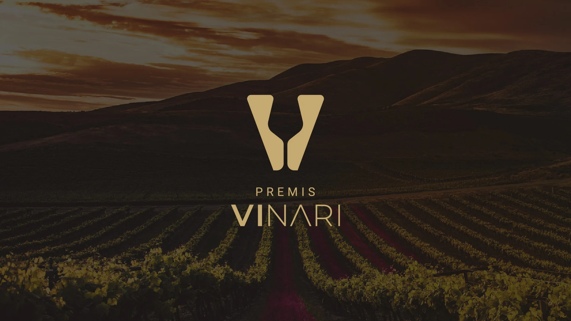 premis-vinari-agencia-futerri-04