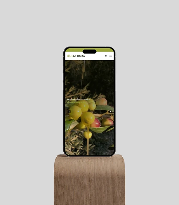 maslatimba-diseño-web-02